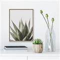 Picture of Cactus Succulent _GroupedProduct_Rectangle_Portrait_Photography _GroupedProduct_Rectangle_Portrait_Canvas_Framed_