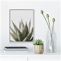 Picture of Cactus Succulent _GroupedProduct_Rectangle_Portrait_Photography _GroupedProduct_Rectangle_Portrait_Canvas_Framed_