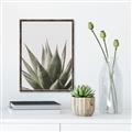 Picture of Cactus Succulent _GroupedProduct_Rectangle_Portrait_Photography _GroupedProduct_Rectangle_Portrait_Canvas_Framed_