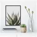 Picture of Cactus Succulent _GroupedProduct_Rectangle_Portrait_Photography _GroupedProduct_Rectangle_Portrait_Canvas_Framed_