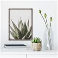 Picture of Cactus Succulent _GroupedProduct_Rectangle_Portrait_Photography _GroupedProduct_Rectangle_Portrait_Canvas_Framed_