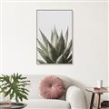 Picture of Cactus Succulent _GroupedProduct_Rectangle_Portrait_Photography _GroupedProduct_Rectangle_Portrait_Canvas_Framed_
