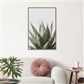 Picture of Cactus Succulent _GroupedProduct_Rectangle_Portrait_Photography _GroupedProduct_Rectangle_Portrait_Canvas_Framed_