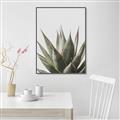 Picture of Cactus Succulent _GroupedProduct_Rectangle_Portrait_Photography _GroupedProduct_Rectangle_Portrait_Canvas_Framed_
