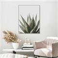 Picture of Cactus Succulent _GroupedProduct_Rectangle_Portrait_Photography _GroupedProduct_Rectangle_Portrait_Canvas_Framed_