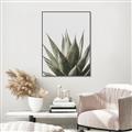 Picture of Cactus Succulent _GroupedProduct_Rectangle_Portrait_Photography _GroupedProduct_Rectangle_Portrait_Canvas_Framed_