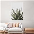 Picture of Cactus Succulent _GroupedProduct_Rectangle_Portrait_Photography _GroupedProduct_Rectangle_Portrait_Canvas_Framed_