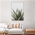 Picture of Cactus Succulent _GroupedProduct_Rectangle_Portrait_Photography _GroupedProduct_Rectangle_Portrait_Canvas_Framed_