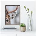 Picture of Eye of the Deer _GroupedProduct_Rectangle_Portrait_Photography _GroupedProduct_Rectangle_Portrait_Canvas_Framed_