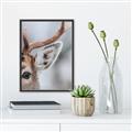 Picture of Eye of the Deer _GroupedProduct_Rectangle_Portrait_Photography _GroupedProduct_Rectangle_Portrait_Canvas_Framed_