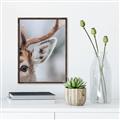 Picture of Eye of the Deer _GroupedProduct_Rectangle_Portrait_Photography _GroupedProduct_Rectangle_Portrait_Canvas_Framed_