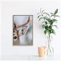 Picture of Eye of the Deer _GroupedProduct_Rectangle_Portrait_Photography _GroupedProduct_Rectangle_Portrait_Canvas_Framed_