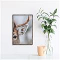 Picture of Eye of the Deer _GroupedProduct_Rectangle_Portrait_Photography _GroupedProduct_Rectangle_Portrait_Canvas_Framed_
