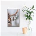Picture of Eye of the Deer _GroupedProduct_Rectangle_Portrait_Photography _GroupedProduct_Rectangle_Portrait_Canvas_Framed_