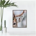 Picture of Eye of the Deer _GroupedProduct_Rectangle_Portrait_Photography _GroupedProduct_Rectangle_Portrait_Canvas_Framed_