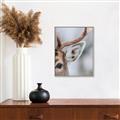 Picture of Eye of the Deer _GroupedProduct_Rectangle_Portrait_Photography _GroupedProduct_Rectangle_Portrait_Canvas_Framed_