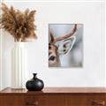 Picture of Eye of the Deer _GroupedProduct_Rectangle_Portrait_Photography _GroupedProduct_Rectangle_Portrait_Canvas_Framed_