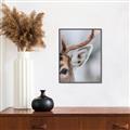 Picture of Eye of the Deer _GroupedProduct_Rectangle_Portrait_Photography _GroupedProduct_Rectangle_Portrait_Canvas_Framed_
