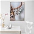 Picture of Eye of the Deer _GroupedProduct_Rectangle_Portrait_Photography _GroupedProduct_Rectangle_Portrait_Canvas_Framed_