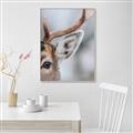 Picture of Eye of the Deer _GroupedProduct_Rectangle_Portrait_Photography _GroupedProduct_Rectangle_Portrait_Canvas_Framed_