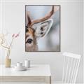 Picture of Eye of the Deer _GroupedProduct_Rectangle_Portrait_Photography _GroupedProduct_Rectangle_Portrait_Canvas_Framed_