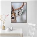 Picture of Eye of the Deer _GroupedProduct_Rectangle_Portrait_Photography _GroupedProduct_Rectangle_Portrait_Canvas_Framed_