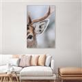 Picture of Eye of the Deer _GroupedProduct_Rectangle_Portrait_Photography _GroupedProduct_Rectangle_Portrait_Canvas_Framed_
