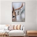Picture of Eye of the Deer _GroupedProduct_Rectangle_Portrait_Photography _GroupedProduct_Rectangle_Portrait_Canvas_Framed_