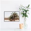 Picture of Wall with Palm Tree _GroupedProduct_Rectangle_Landscape_Photography _GroupedProduct_Rectangle_Landscape_Canvas_Framed_
