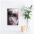 Picture of Blush Bloom _GroupedProduct_Rectangle_Portrait_Photography _GroupedProduct_Rectangle_Portrait_Canvas_Framed_