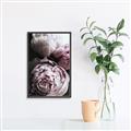Picture of Blush Bloom _GroupedProduct_Rectangle_Portrait_Photography _GroupedProduct_Rectangle_Portrait_Canvas_Framed_
