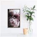 Picture of Blush Bloom _GroupedProduct_Rectangle_Portrait_Photography _GroupedProduct_Rectangle_Portrait_Canvas_Framed_