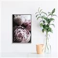 Picture of Blush Bloom _GroupedProduct_Rectangle_Portrait_Photography _GroupedProduct_Rectangle_Portrait_Canvas_Framed_
