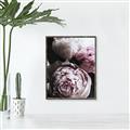 Picture of Blush Bloom _GroupedProduct_Rectangle_Portrait_Photography _GroupedProduct_Rectangle_Portrait_Canvas_Framed_