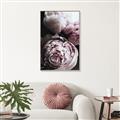 Picture of Blush Bloom _GroupedProduct_Rectangle_Portrait_Photography _GroupedProduct_Rectangle_Portrait_Canvas_Framed_