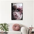 Picture of Blush Bloom _GroupedProduct_Rectangle_Portrait_Photography _GroupedProduct_Rectangle_Portrait_Canvas_Framed_