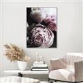 Picture of Blush Bloom _GroupedProduct_Rectangle_Portrait_Photography _GroupedProduct_Rectangle_Portrait_Canvas_Framed_