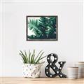 Picture of Fern Garden  _GroupedProduct_Rectangle_Landscape_Photography _GroupedProduct_Rectangle_Landscape_Canvas_Framed_