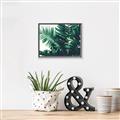 Picture of Fern Garden  _GroupedProduct_Rectangle_Landscape_Photography _GroupedProduct_Rectangle_Landscape_Canvas_Framed_