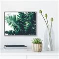 Picture of Fern Garden  _GroupedProduct_Rectangle_Landscape_Photography _GroupedProduct_Rectangle_Landscape_Canvas_Framed_