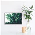 Picture of Fern Garden  _GroupedProduct_Rectangle_Landscape_Photography _GroupedProduct_Rectangle_Landscape_Canvas_Framed_