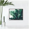 Picture of Fern Garden  _GroupedProduct_Rectangle_Landscape_Photography _GroupedProduct_Rectangle_Landscape_Canvas_Framed_