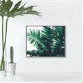 Picture of Fern Garden  _GroupedProduct_Rectangle_Landscape_Photography _GroupedProduct_Rectangle_Landscape_Canvas_Framed_
