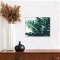 Picture of Fern Garden  _GroupedProduct_Rectangle_Landscape_Photography _GroupedProduct_Rectangle_Landscape_Canvas_Framed_
