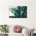Picture of Fern Garden  _GroupedProduct_Rectangle_Landscape_Photography _GroupedProduct_Rectangle_Landscape_Canvas_Framed_