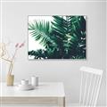 Picture of Fern Garden  _GroupedProduct_Rectangle_Landscape_Photography _GroupedProduct_Rectangle_Landscape_Canvas_Framed_