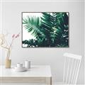 Picture of Fern Garden  _GroupedProduct_Rectangle_Landscape_Photography _GroupedProduct_Rectangle_Landscape_Canvas_Framed_