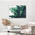 Picture of Fern Garden  _GroupedProduct_Rectangle_Landscape_Photography _GroupedProduct_Rectangle_Landscape_Canvas_Framed_