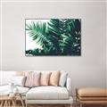 Picture of Fern Garden  _GroupedProduct_Rectangle_Landscape_Photography _GroupedProduct_Rectangle_Landscape_Canvas_Framed_