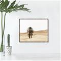 Picture of Sandy Desert  _GroupedProduct_Rectangle_Landscape_Photography _GroupedProduct_Rectangle_Landscape_Canvas_Framed_